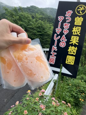 新着情報