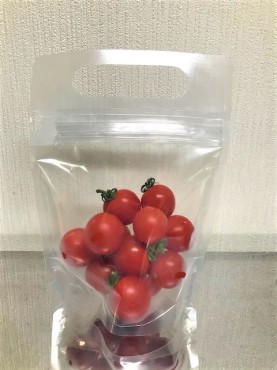 新着情報
