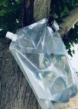 新着情報