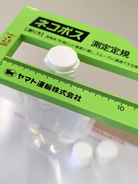 新着情報
