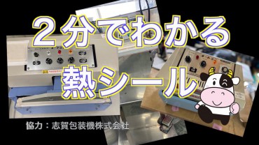 新着情報