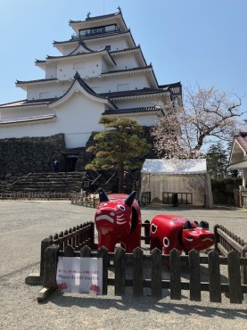 新着情報