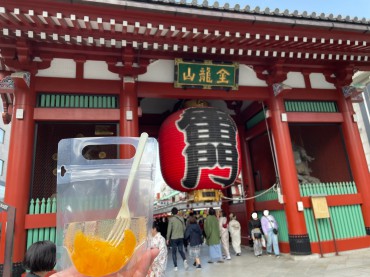 新着情報