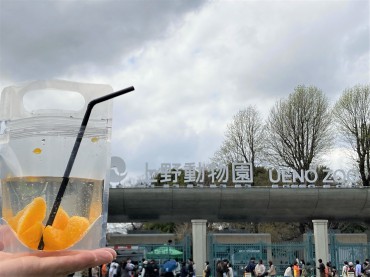 新着情報