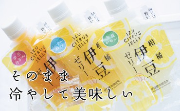 新着情報