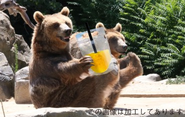 新着情報