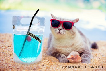 新着情報