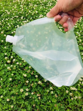 新着情報