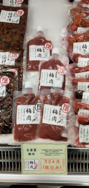 新着情報