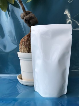 新着情報