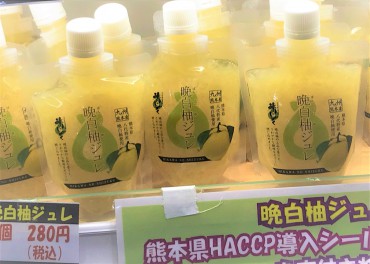新着情報