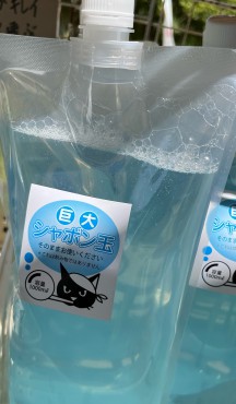 新着情報