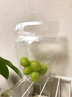新着情報