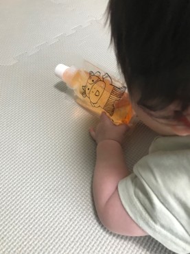 新着情報