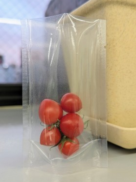 新着情報