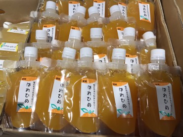 新着情報