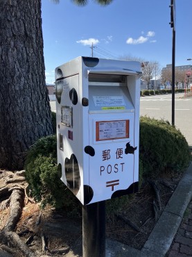 新着情報