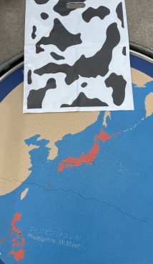 新着情報