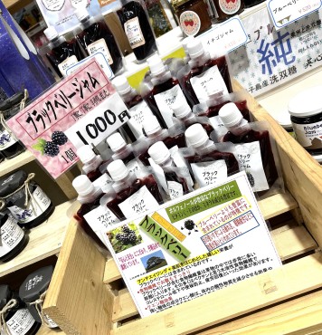 新着情報
