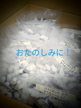 新着情報