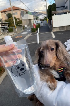 新着情報
