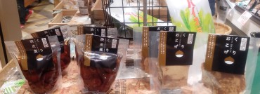 新着情報