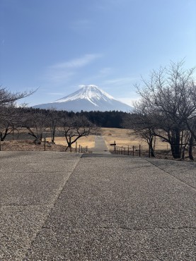 新着情報