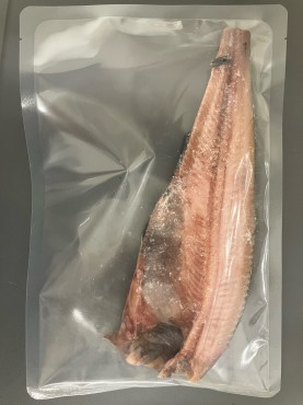 新着情報