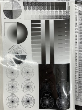 新着情報