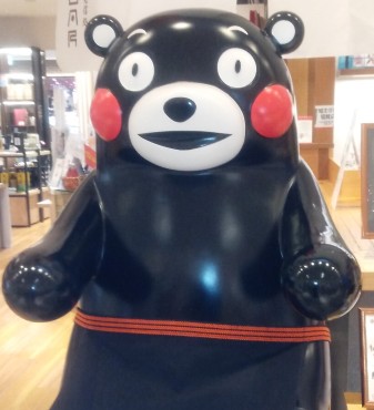 新着情報