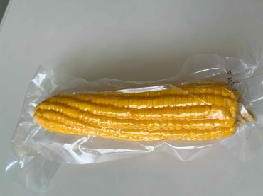 新着情報