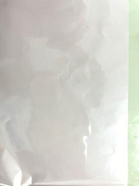 新着情報